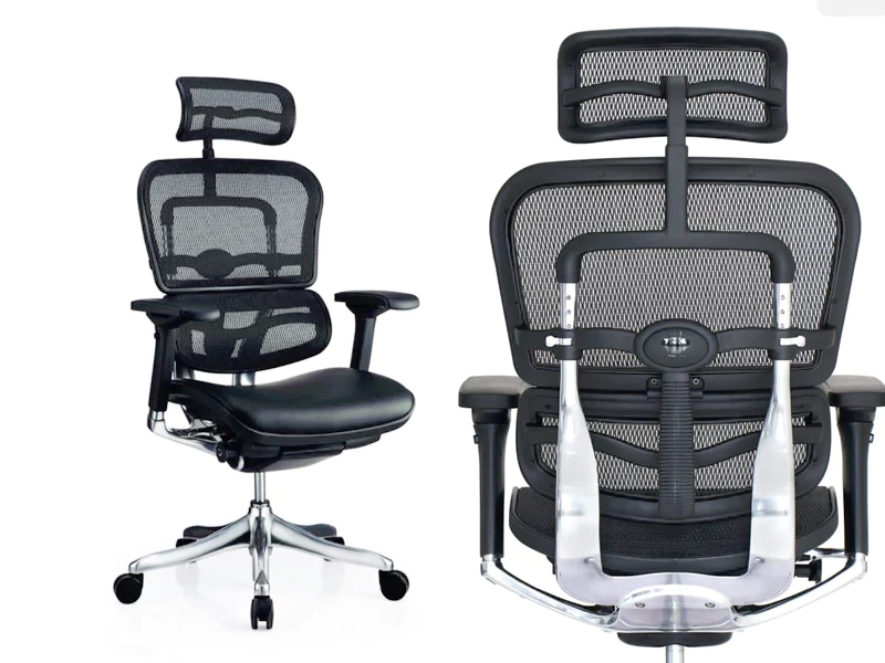 Director Chairs for Office